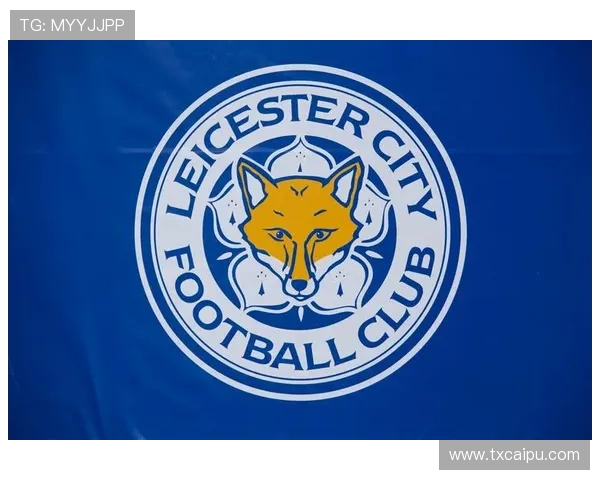 莱斯特城关键球员近期表现稳健，助力球队竞争力增强