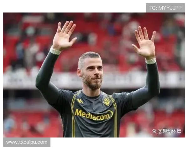 奥纳纳从里尔主力到英超重金引援的身价跃升解析